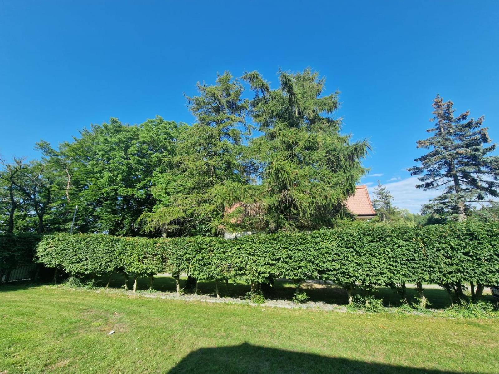 Osrodek Promenada- Faleza Jastrzębia Góra Exterior foto