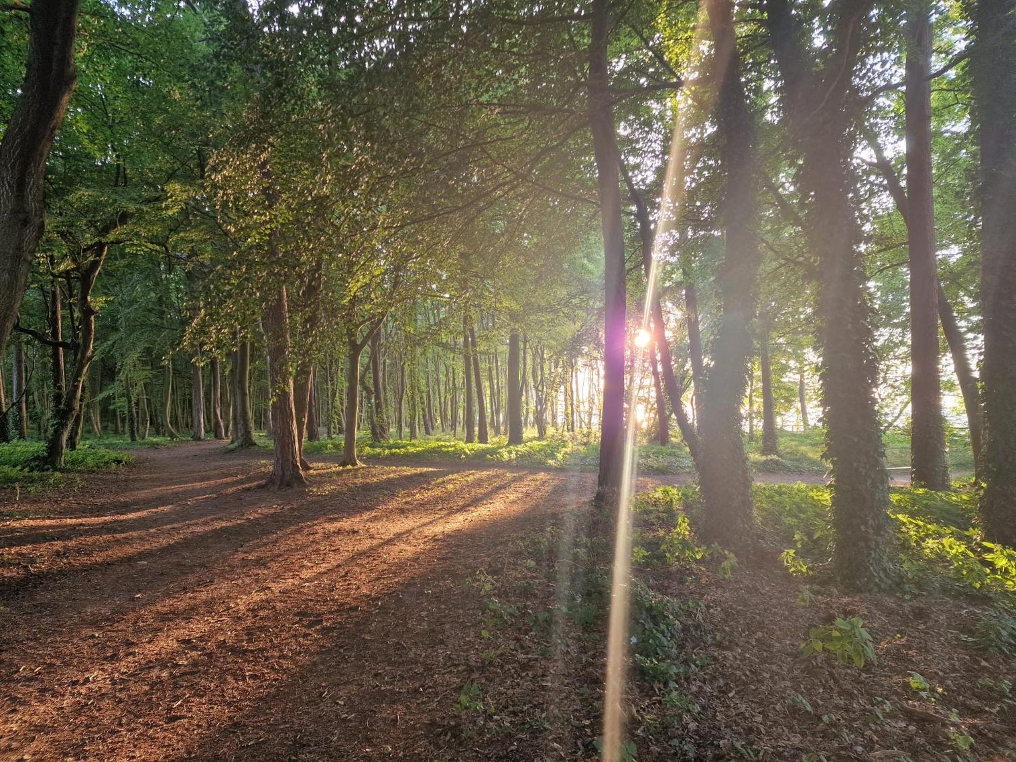 Osrodek Promenada- Faleza Jastrzębia Góra Exterior foto